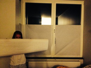 Gardinen-Prototyp Nr. 1!